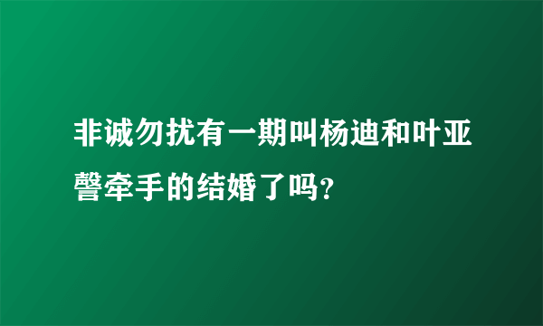 非诚勿扰有一期叫杨迪和叶亚謦牵手的结婚了吗？