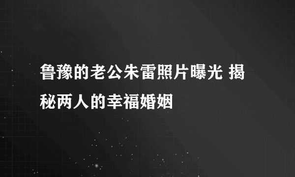 鲁豫的老公朱雷照片曝光 揭秘两人的幸福婚姻