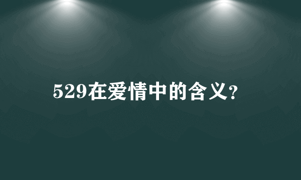 529在爱情中的含义？