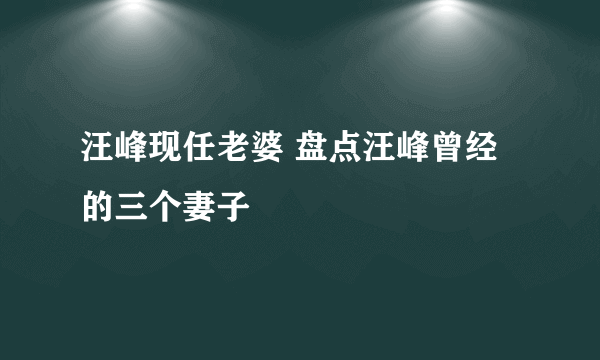 汪峰现任老婆 盘点汪峰曾经的三个妻子