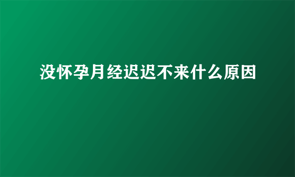 没怀孕月经迟迟不来什么原因