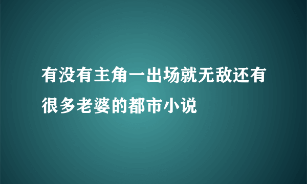 有没有主角一出场就无敌还有很多老婆的都市小说