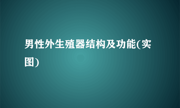 男性外生殖器结构及功能(实图)