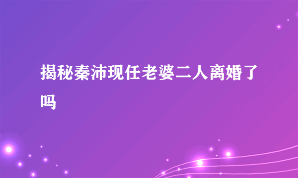 揭秘秦沛现任老婆二人离婚了吗