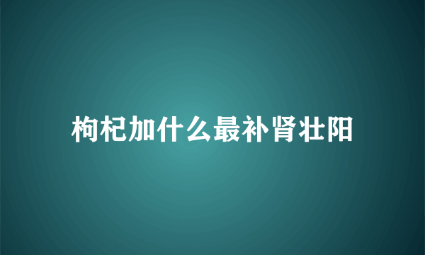 枸杞加什么最补肾壮阳