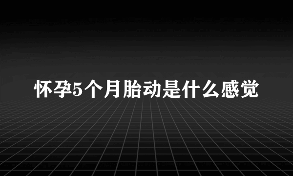 怀孕5个月胎动是什么感觉