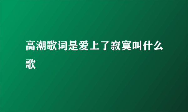 高潮歌词是爱上了寂寞叫什么歌