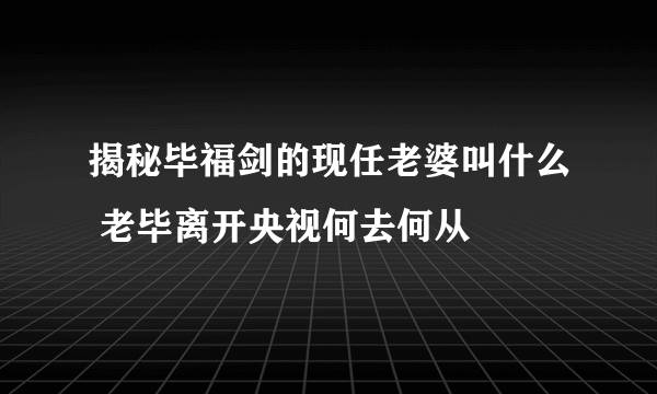 揭秘毕福剑的现任老婆叫什么 老毕离开央视何去何从