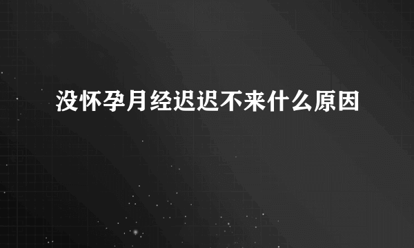 没怀孕月经迟迟不来什么原因