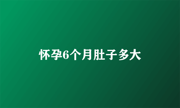 怀孕6个月肚子多大