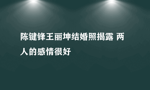 陈键锋王丽坤结婚照揭露 两人的感情很好