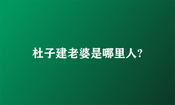 杜子建老婆是哪里人?