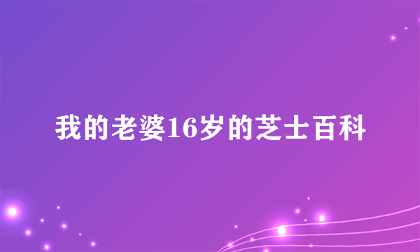 我的老婆16岁的芝士百科