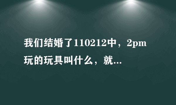 我们结婚了110212中，2pm玩的玩具叫什么，就是灿成和泽演玩的