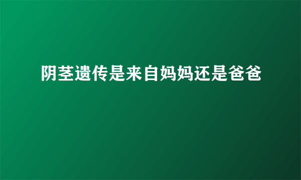 阴茎遗传是来自妈妈还是爸爸