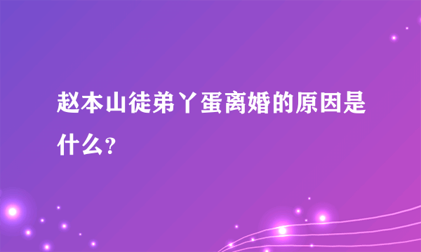 赵本山徒弟丫蛋离婚的原因是什么？