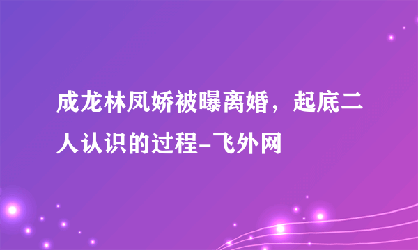 成龙林凤娇被曝离婚，起底二人认识的过程-飞外网