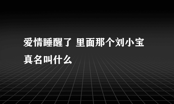 爱情睡醒了 里面那个刘小宝真名叫什么