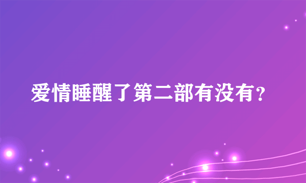 爱情睡醒了第二部有没有？