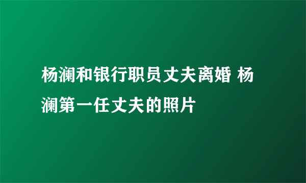 杨澜和银行职员丈夫离婚 杨澜第一任丈夫的照片