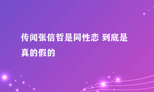 传闻张信哲是同性恋 到底是真的假的