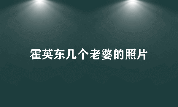 霍英东几个老婆的照片