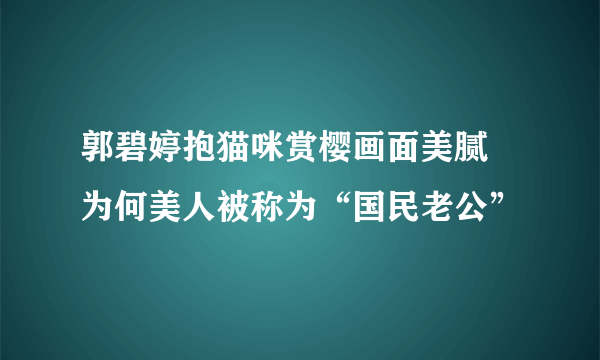 郭碧婷抱猫咪赏樱画面美腻 为何美人被称为“国民老公”