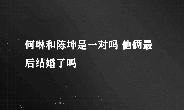 何琳和陈坤是一对吗 他俩最后结婚了吗