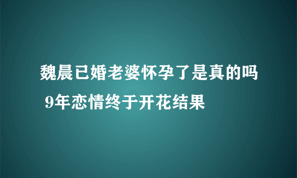 魏晨已婚老婆怀孕了是真的吗 9年恋情终于开花结果