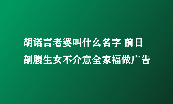 胡诺言老婆叫什么名字 前日剖腹生女不介意全家福做广告