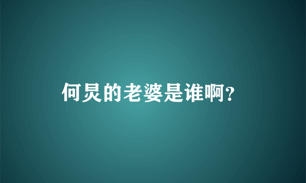 何炅的老婆是谁啊？