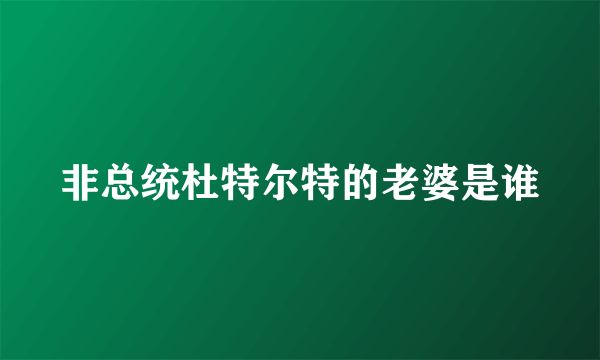 非总统杜特尔特的老婆是谁