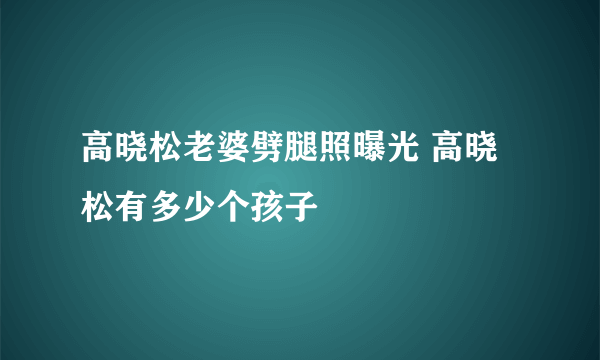 高晓松老婆劈腿照曝光 高晓松有多少个孩子