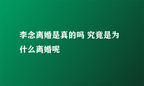 李念离婚是真的吗 究竟是为什么离婚呢