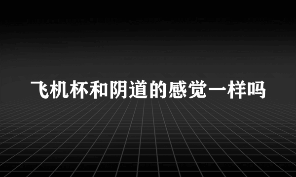 飞机杯和阴道的感觉一样吗