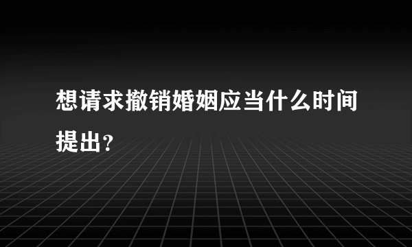 想请求撤销婚姻应当什么时间提出？