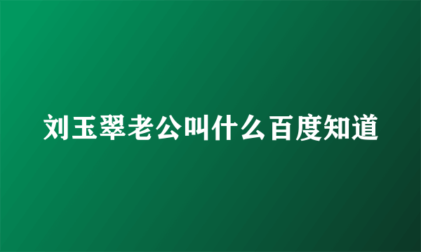 刘玉翠老公叫什么百度知道