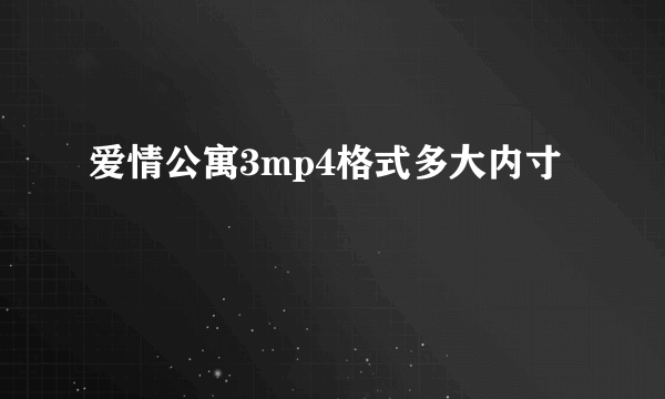 爱情公寓3mp4格式多大内寸