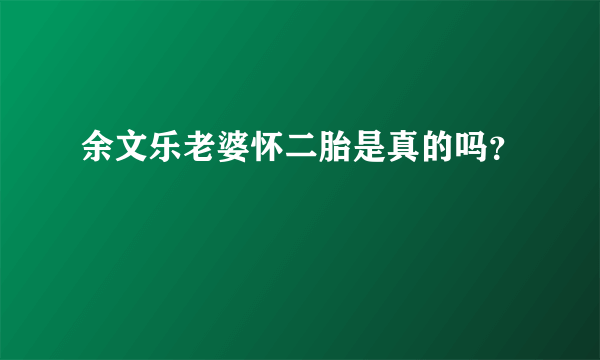 余文乐老婆怀二胎是真的吗？