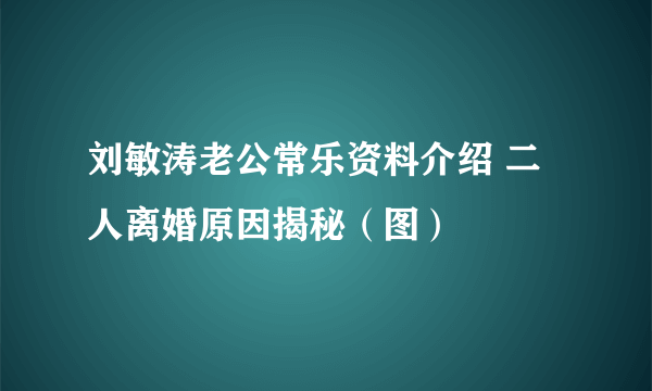 刘敏涛老公常乐资料介绍 二人离婚原因揭秘（图）