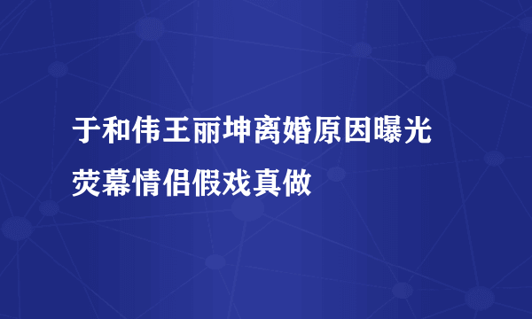 于和伟王丽坤离婚原因曝光  荧幕情侣假戏真做