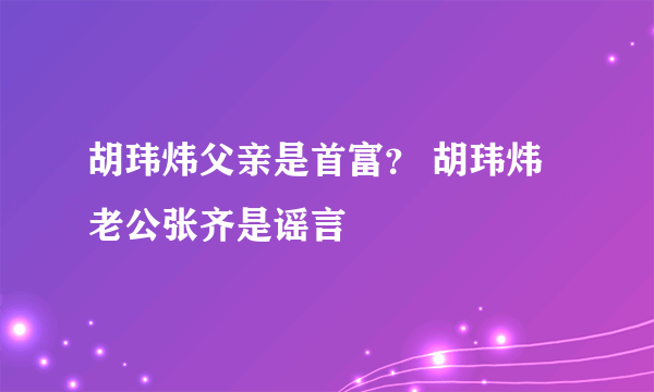 胡玮炜父亲是首富？ 胡玮炜老公张齐是谣言