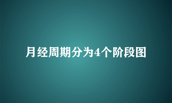 月经周期分为4个阶段图