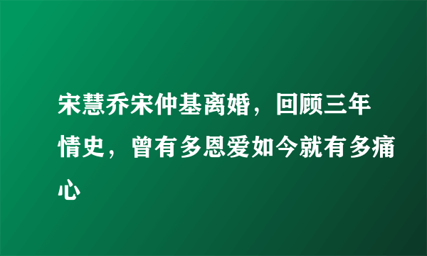 宋慧乔宋仲基离婚，回顾三年情史，曾有多恩爱如今就有多痛心