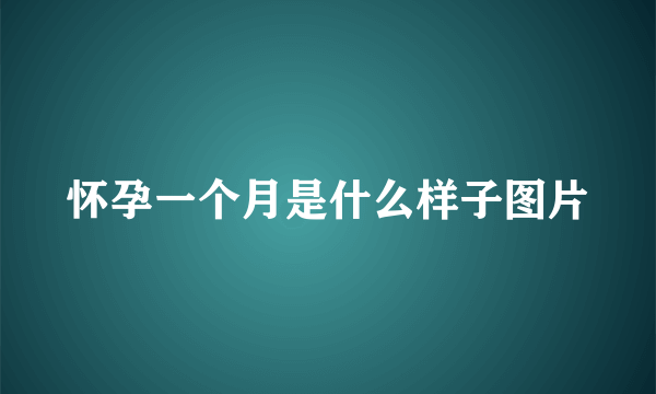 怀孕一个月是什么样子图片