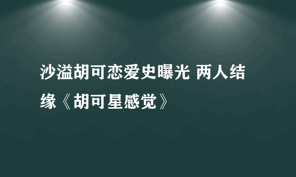 沙溢胡可恋爱史曝光 两人结缘《胡可星感觉》