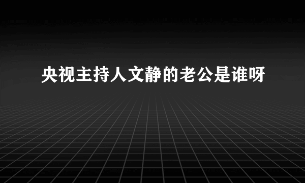 央视主持人文静的老公是谁呀