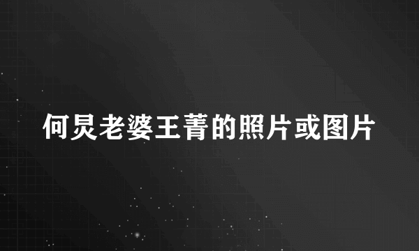 何炅老婆王菁的照片或图片