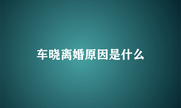 车晓离婚原因是什么