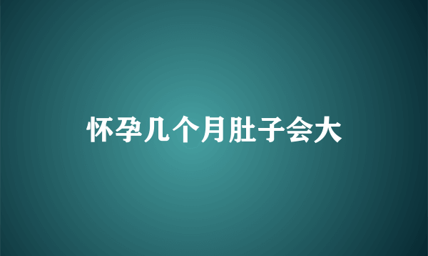 怀孕几个月肚子会大